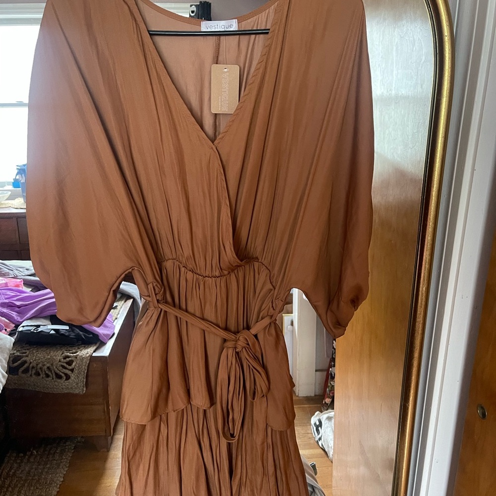 Vestique Women's Brown Dress